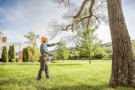 Best Hazardous Tree Removal  in Tahoma, CA